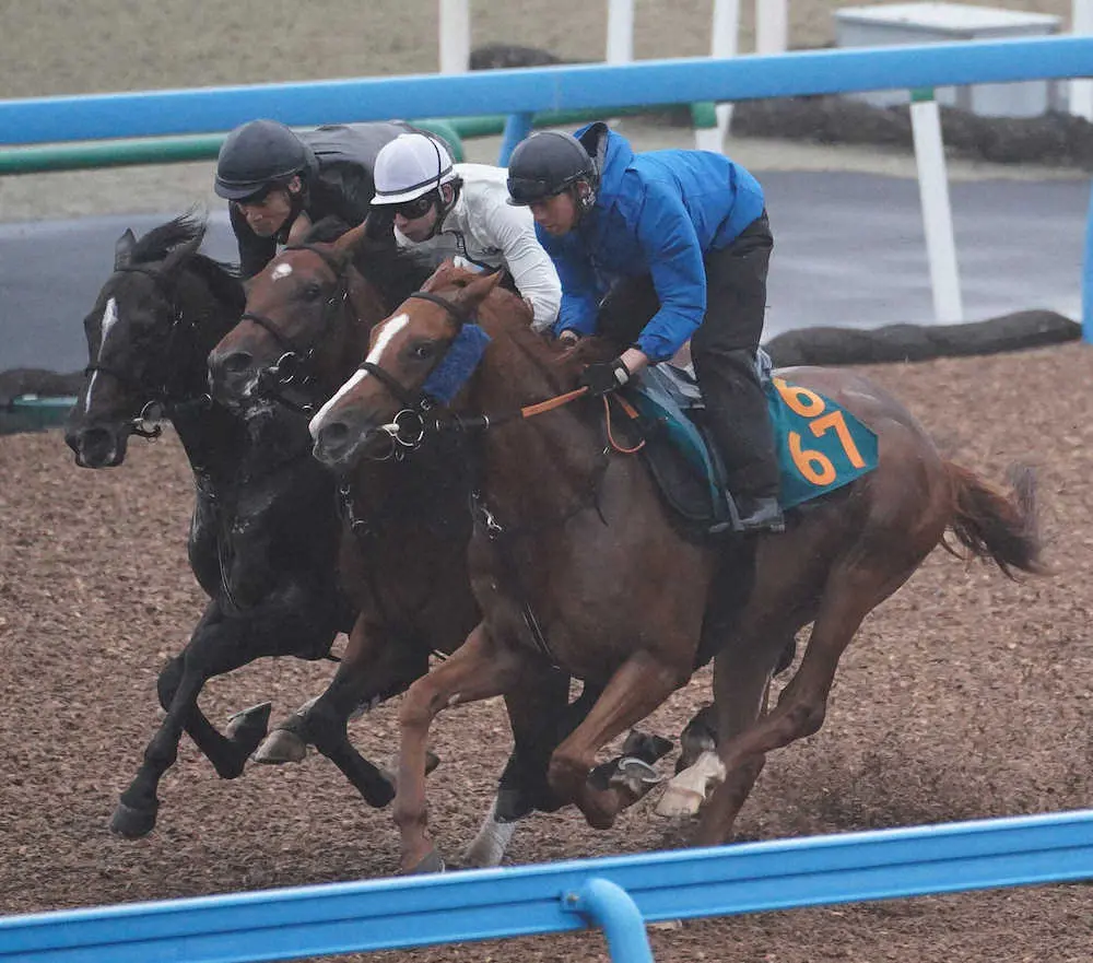9日、一週前追い切りを行ったライリッズ（手前）