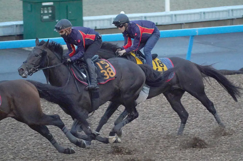 ＜セントライト記念＞3頭併せで追い切るレッドヴェロシティ（左）＝撮影・郡司　修