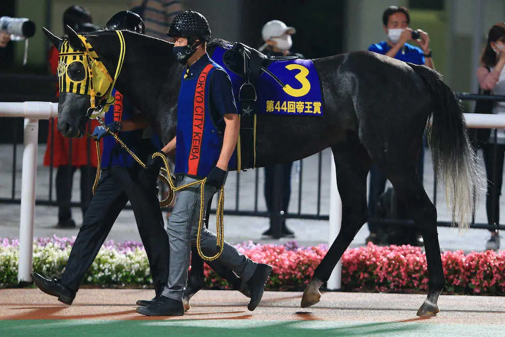 念願の中央交流Vへ充実の5歳秋を迎えるミューチャリー