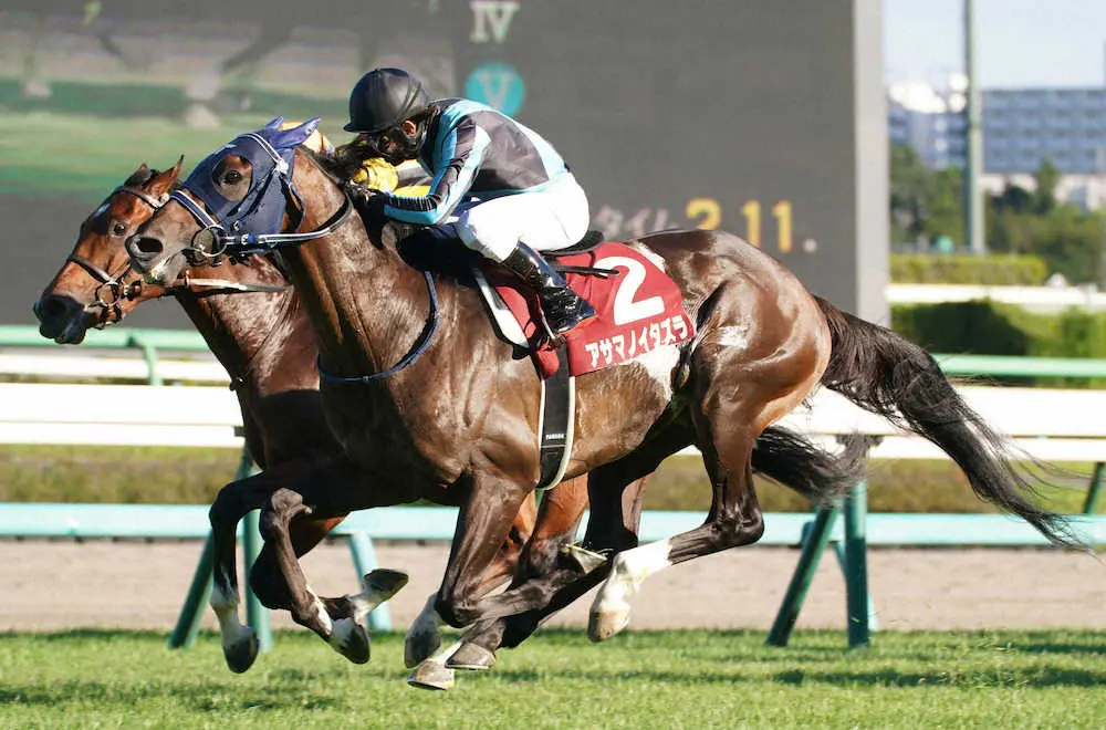 ＜セントライト記念＞ゴール前でソーヴァリアント（左）を差し切って勝ったアサマノイタズラ（撮影・郡司　修）