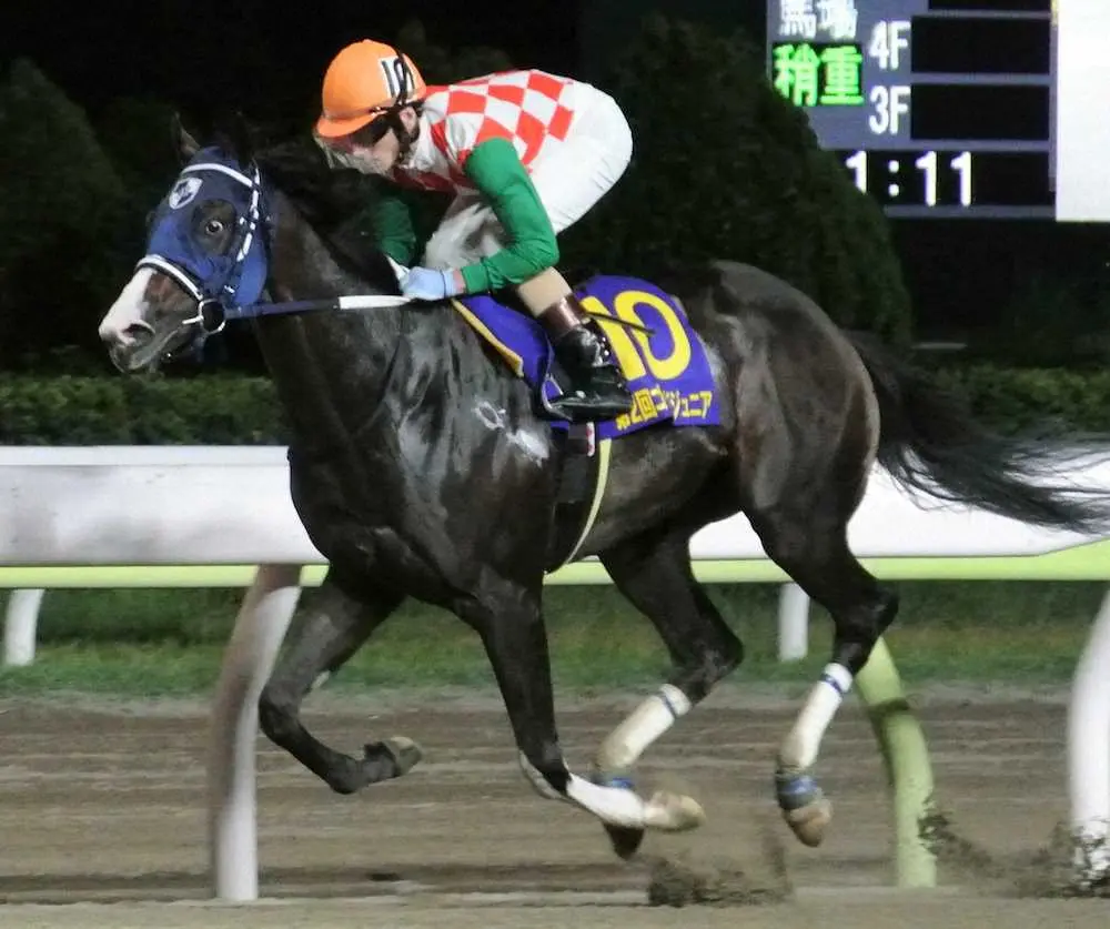 ゴールドジュニアで重賞初制覇したママママカロニ
