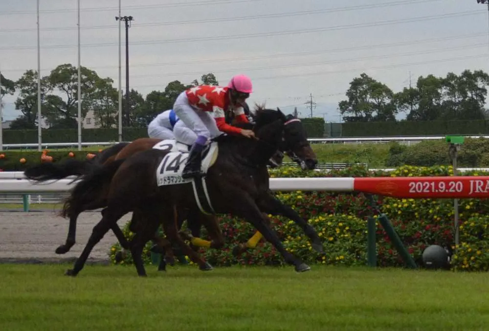 ＜中京5R新馬戦＞大外枠からうまく流れに乗って押し切ったレッドラマンシュ