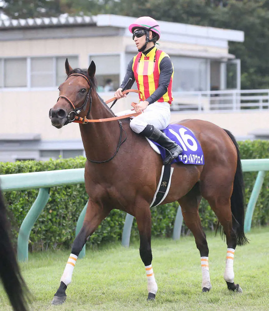 昨年のスプリンターズSで3着となった松山弘平騎乗のアウィルアウェイ