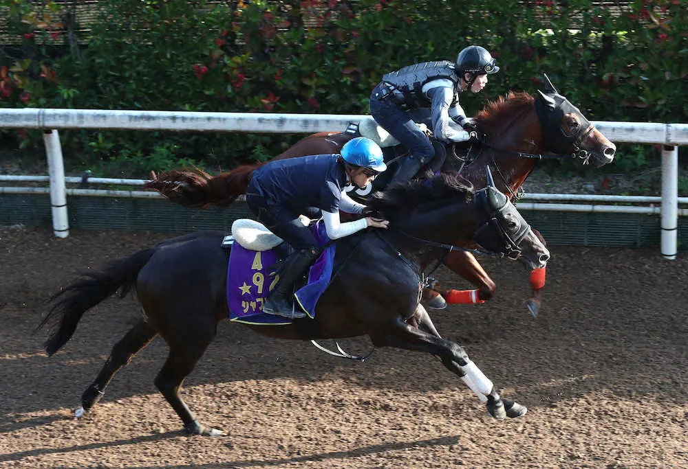 ＜神戸新聞杯＞福永を背に坂路をスカリーワグ（奥）と併せ馬で追い切るシャフリヤール