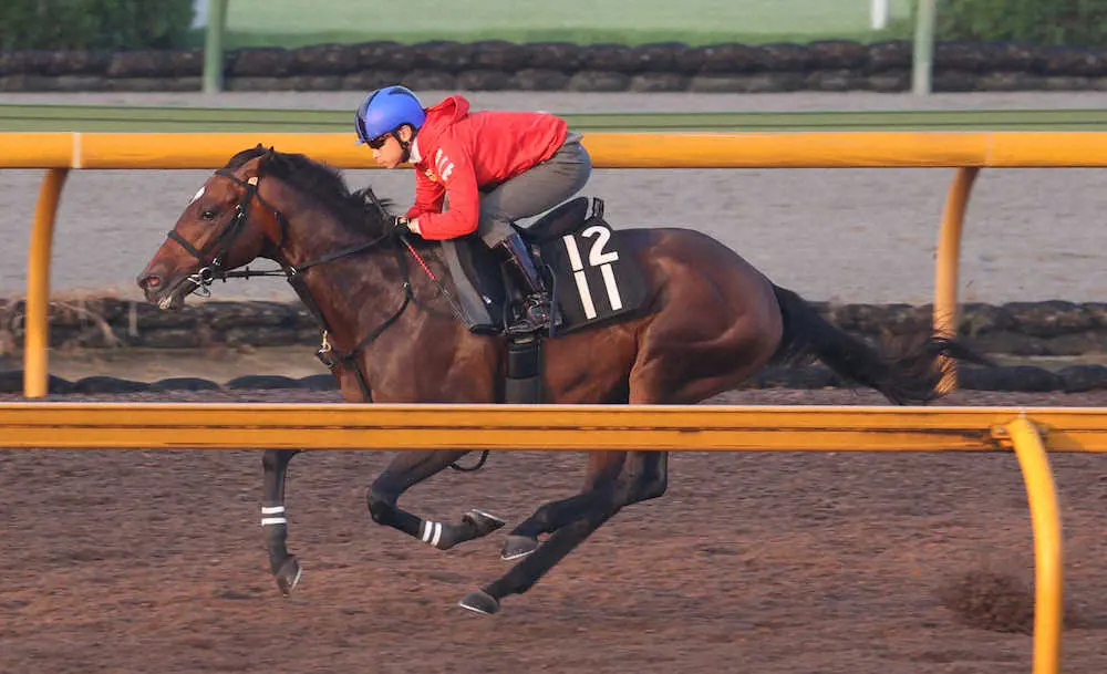 CWコースで追い切るモンテディオ（撮影・亀井　直樹）