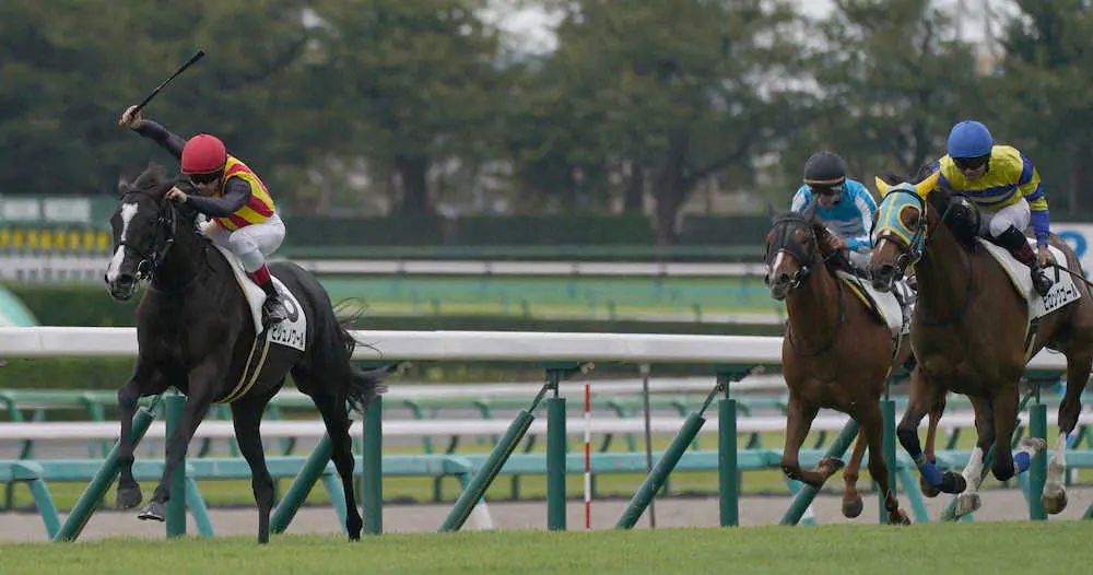 ＜中山5R新馬戦＞難なく押し切って快勝したビジュノワール（左端）＝撮影・郡司　修