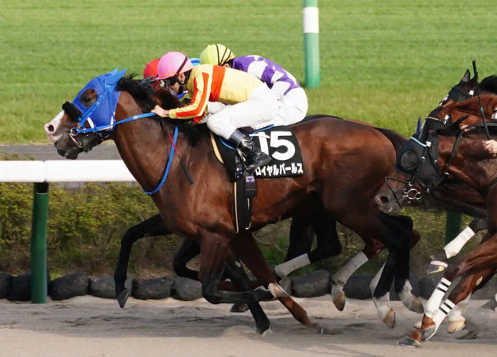 ＜中山11RながつきS＞接戦を制したロイヤルパールス＝手前（撮影・郡司　修）
