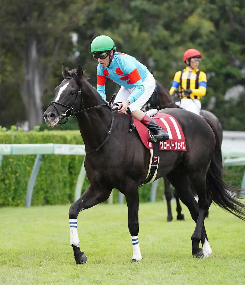 ＜中山11Rオールカマー＞3着でレースを終えたグローリーヴェイズ（撮影・郡司　修）