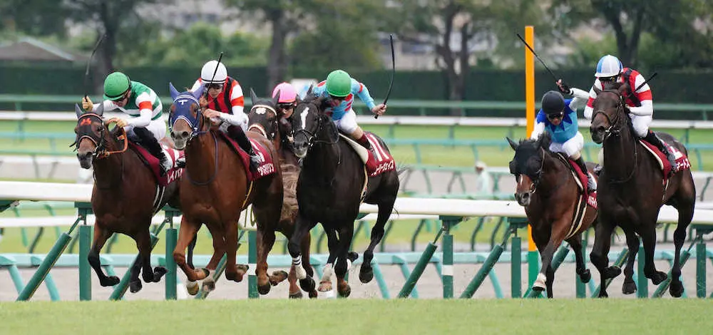 ＜中山11Rオールカマー＞レースを制したウインマリリン（左から2頭目）、2着のウインキートス（右端）、3着のグローリーヴェイズ（左から4頭目）、4着のレイパパレ（左端）＝撮影・郡司　修
