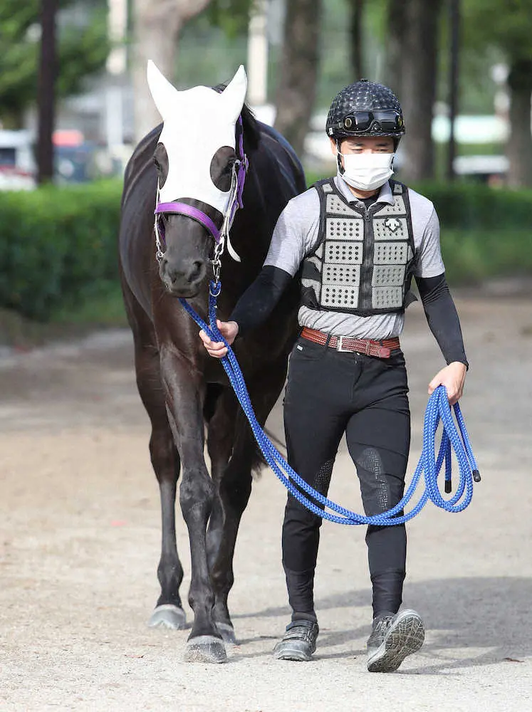厩舎周りで運動するエイティーンガール
