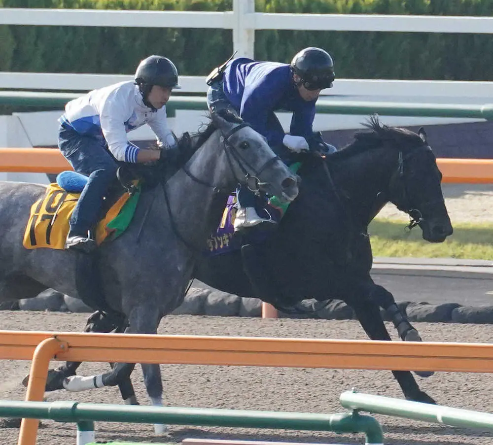 セレンゲティ（左）と併せて追い切るダノンキングリー（撮影・郡司　修）