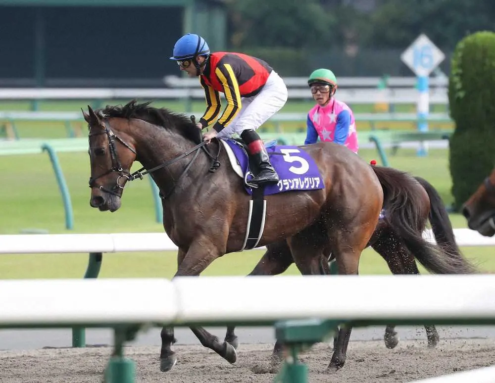 安田記念2着のグランアレグリア