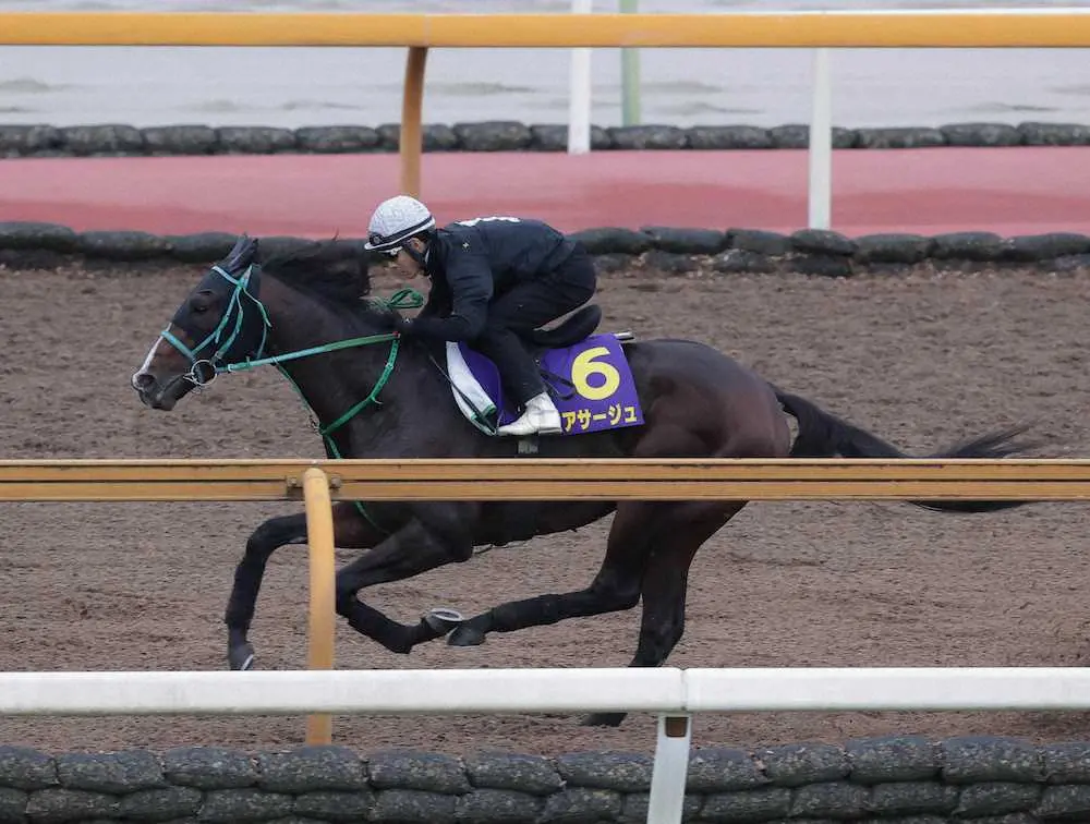 CWコースを追い切ったエアサージュ