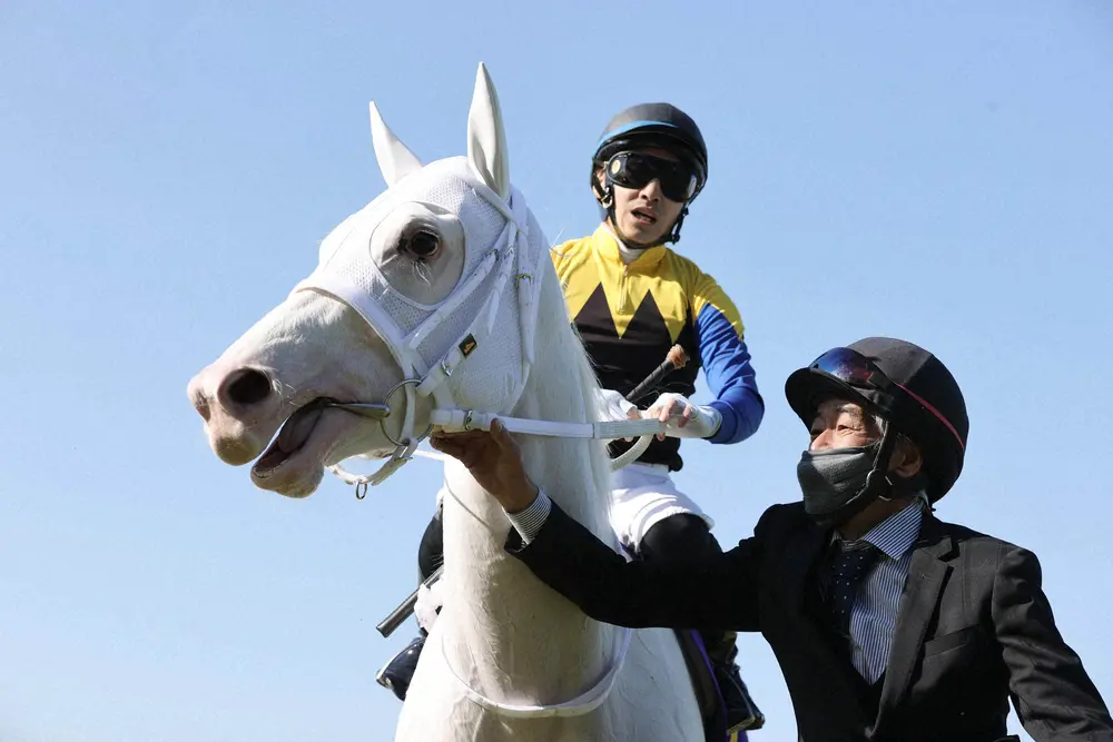 白毛馬ソダシと吉田隼騎手