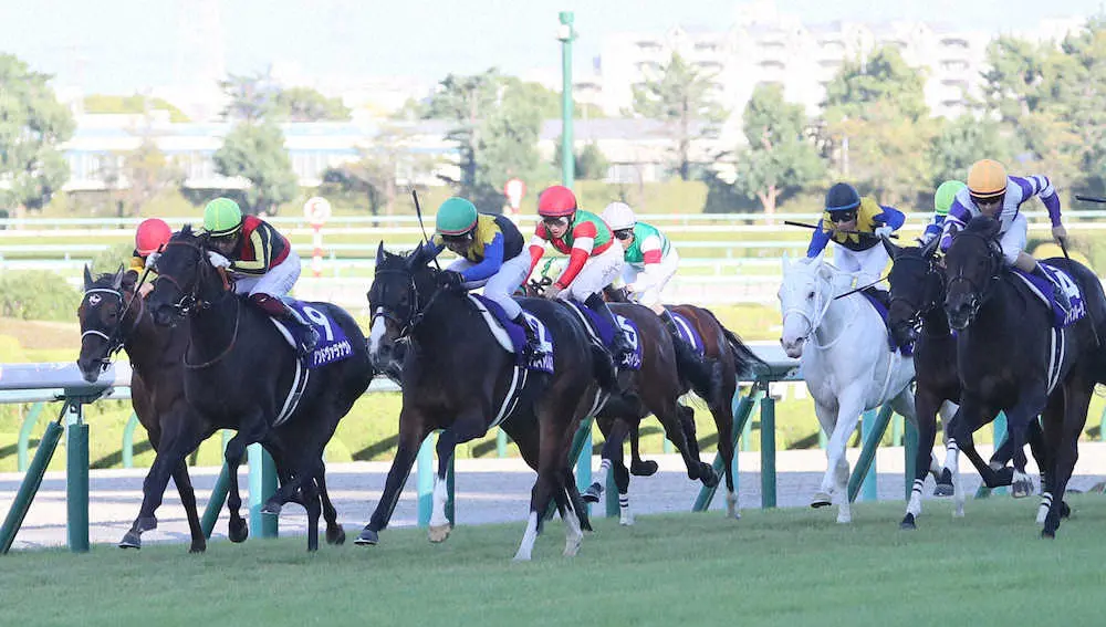 ＜阪神競馬11R＞秋華賞を制したアカイトリノムスメ（左から3頭目）（撮影・後藤　正志）