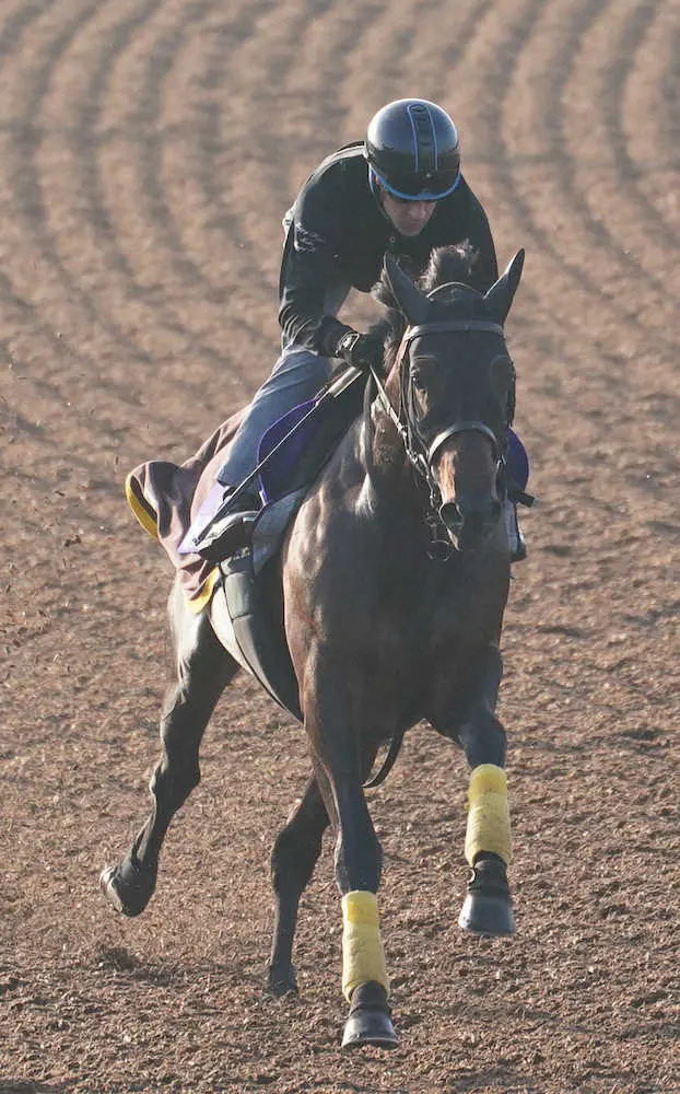 ルメールを背にウッドチップコースで追い切るオーソクレース（撮影・郡司　修）