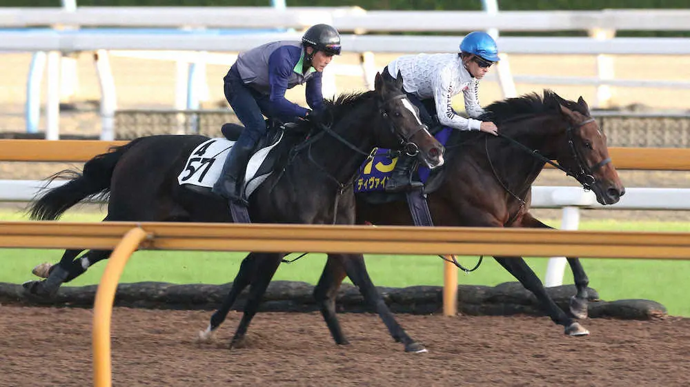 福永騎手を背にCWコースにて併せ馬で追い切るディヴァインラヴ（右奥）（撮影・亀井　直樹）