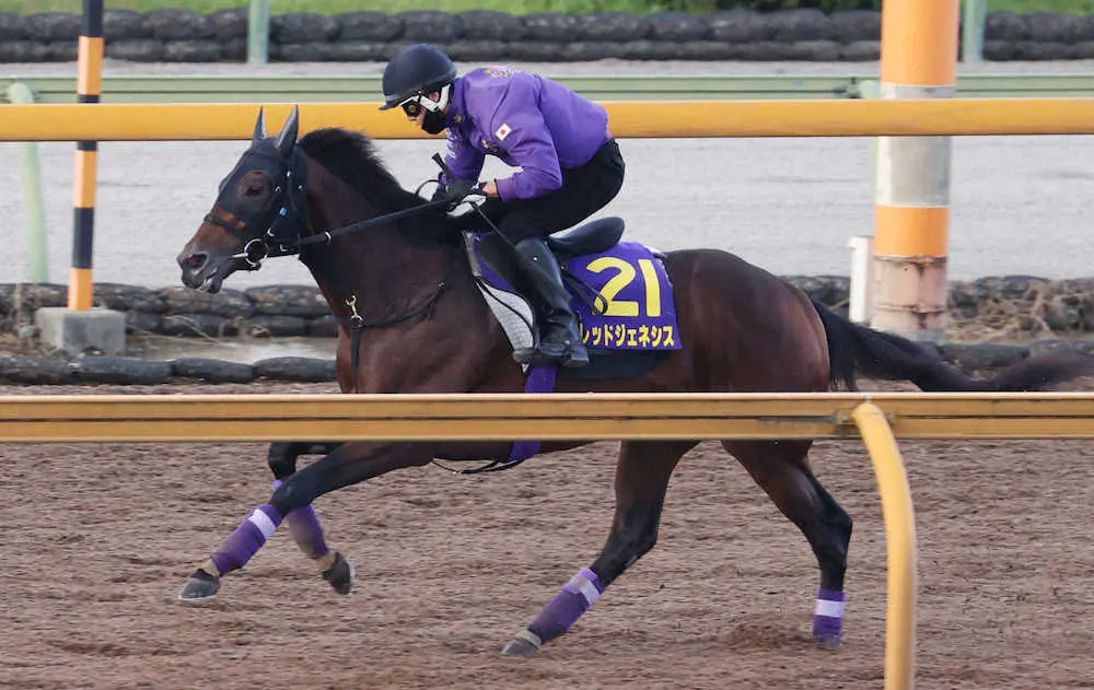 CWコースで追い切るレッドジェネシス（撮影・亀井　直樹）