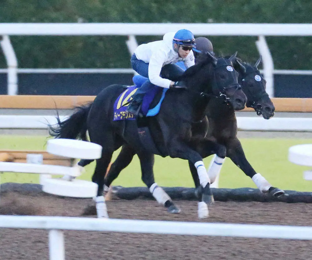 武豊騎手を背にCWコースで追い切るディープモンスター（手前）（撮影・亀井　直樹）
