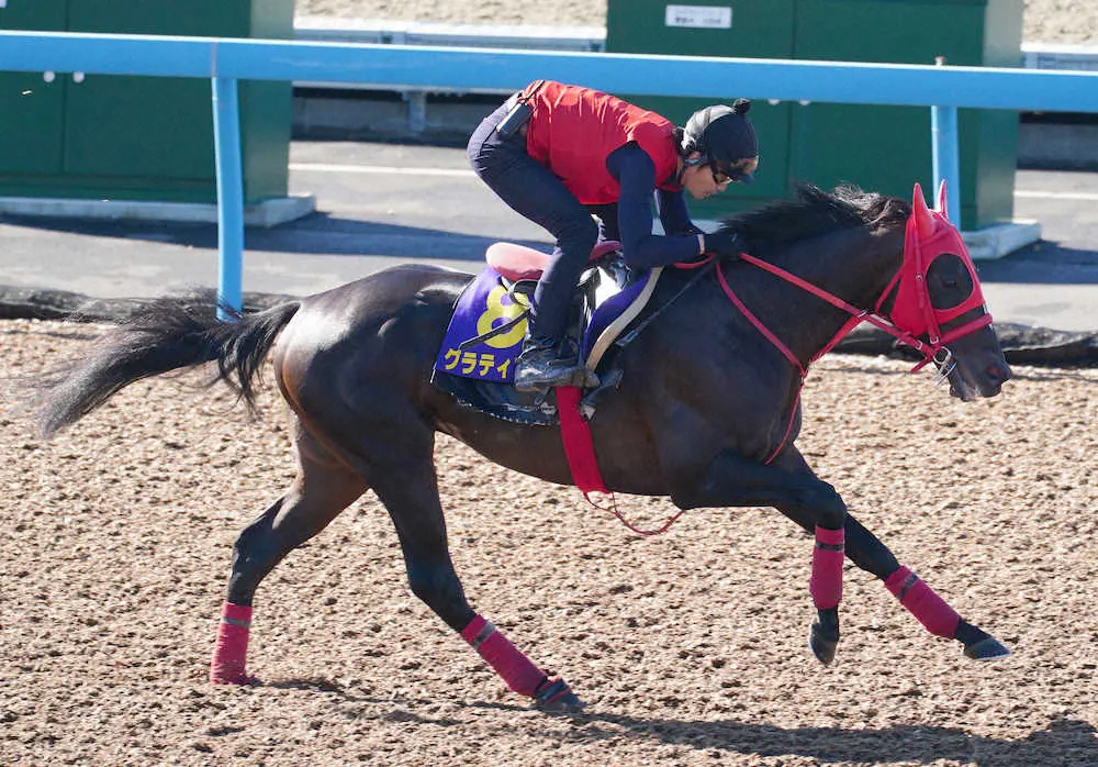 ウッドチップコースで追い切るグラティアス（撮影・郡司　修）