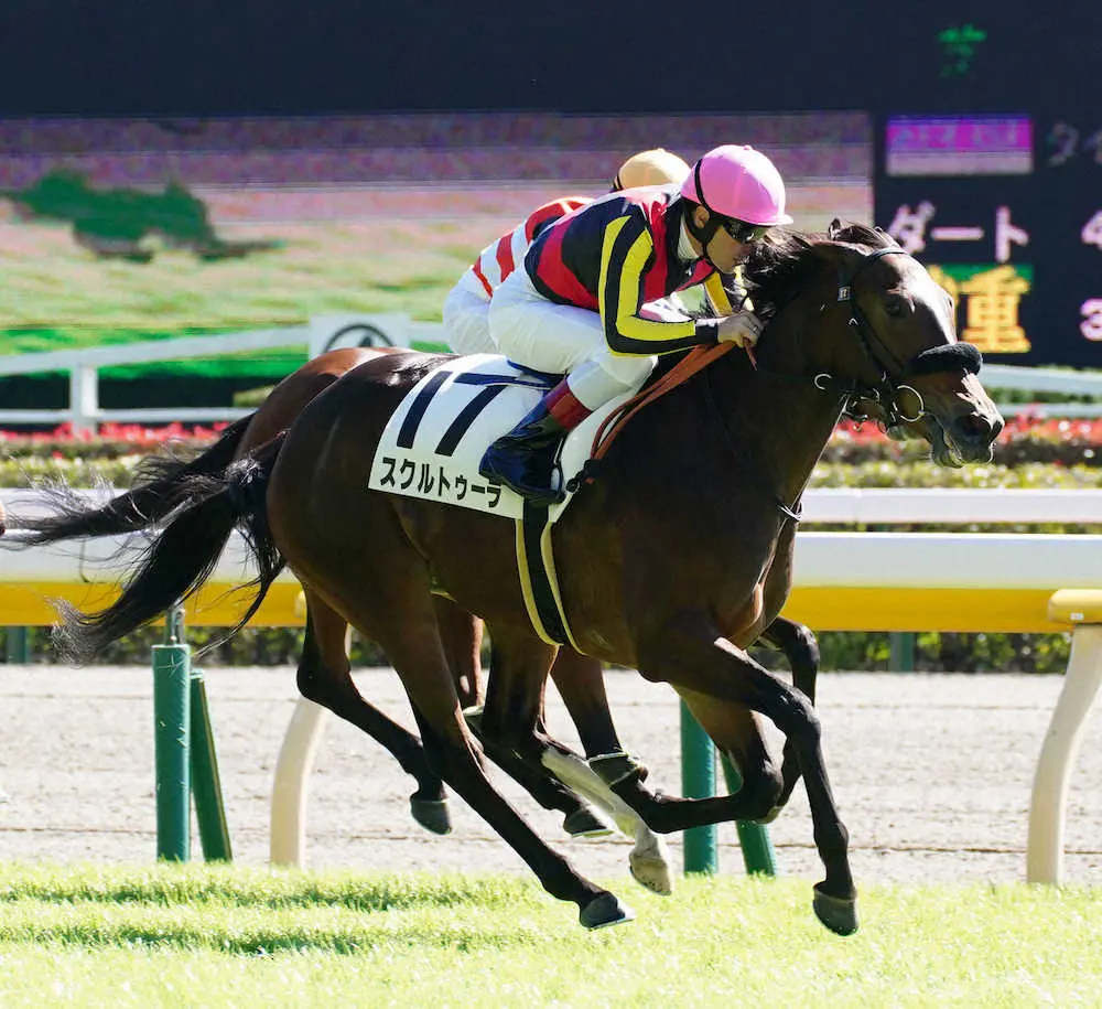 ＜東京競馬4R新馬戦＞レースを制したスクルトゥーラ（撮影・郡司　修）
