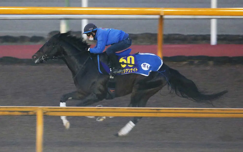 CWコースで追い切るペルシアンナイト（撮影・亀井　直樹）