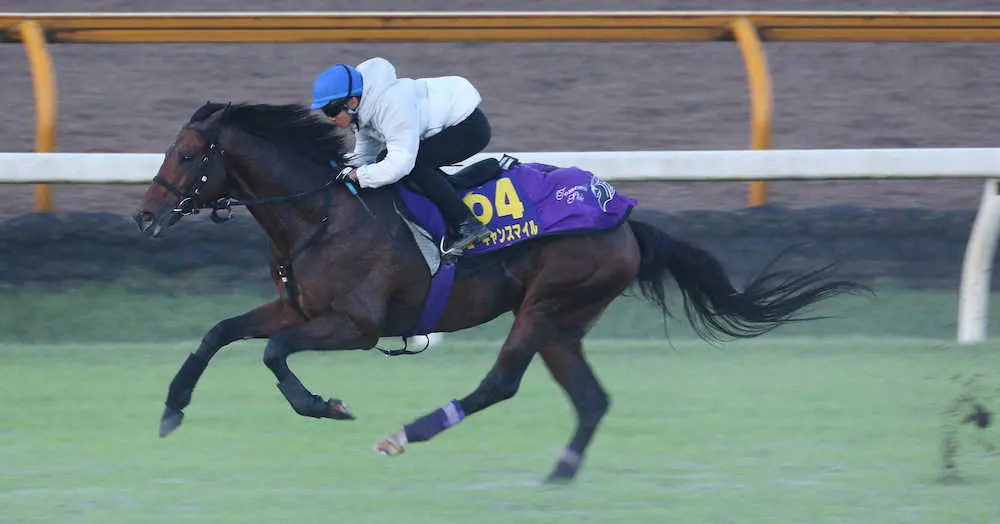 芝コースで追い切るユーキャンスマイル（撮影・亀井　直樹）