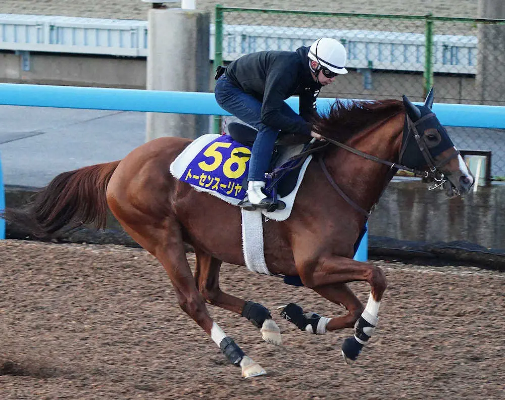 ウッドチップコースで追い切るトーセンスーリヤ（撮影・郡司　修）