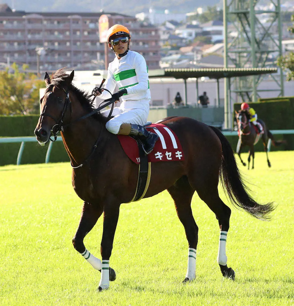 京都大賞典で3着だったキセキ（撮影・後藤　大輝）