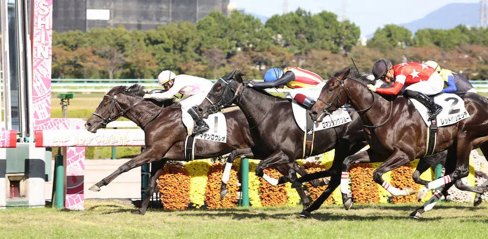 ＜阪神5R・2歳新馬＞ゴール前の接戦を内から抜け出し勝利するマテンロウレオ（左）　（撮影・亀井　直樹）
