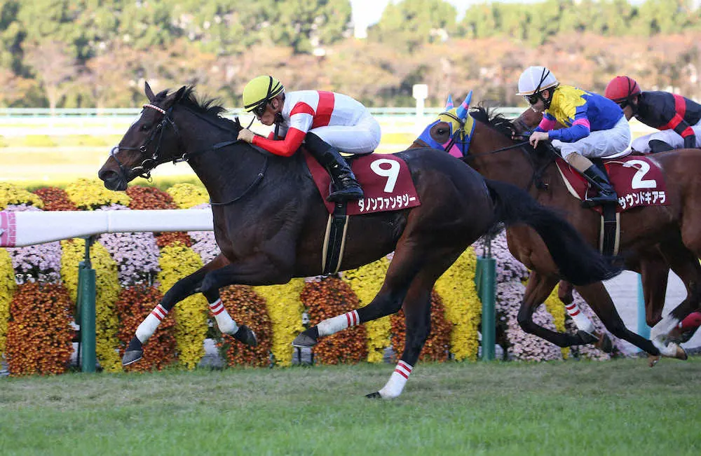 直線で抜け出し勝利するダノンファンタジー（左）（撮影・亀井　直樹）