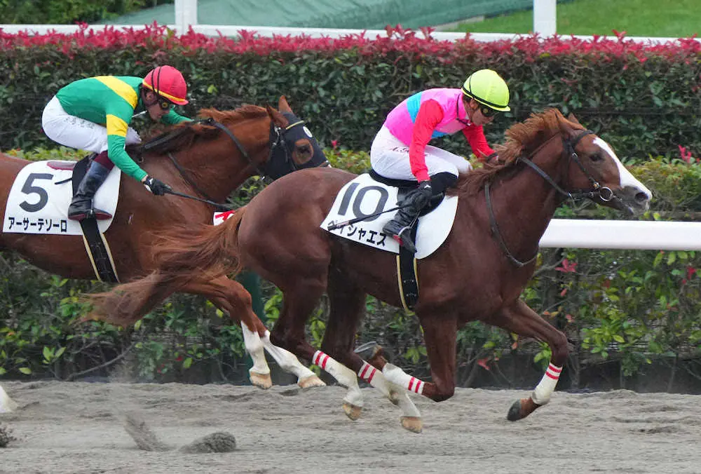 ＜東京競馬4R新馬戦＞レースを制したペイシャエス（撮影・郡司　修）