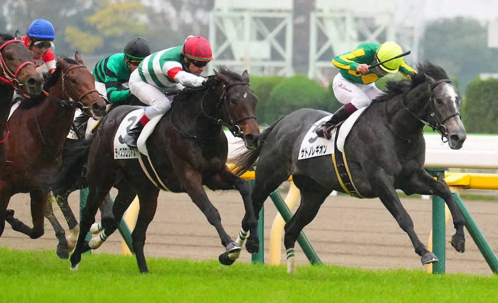 ＜東京競馬5R新馬戦＞レースを制したティズグロリアス（左）＝撮影・郡司　修