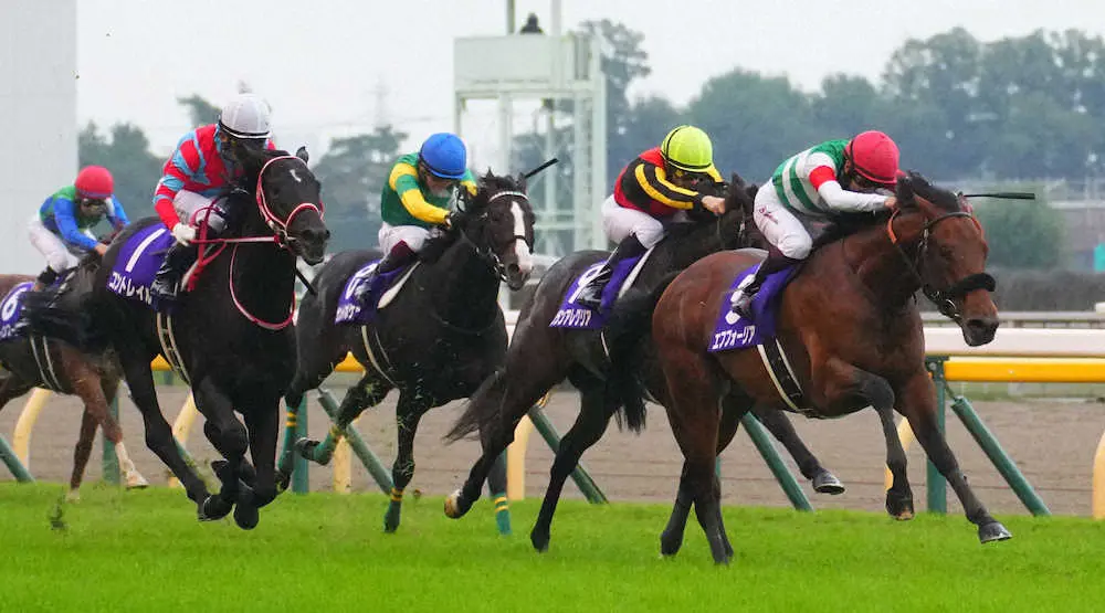 ＜天皇賞・秋＞レースを制したエフフォーリア（右端）（撮影・郡司　修）