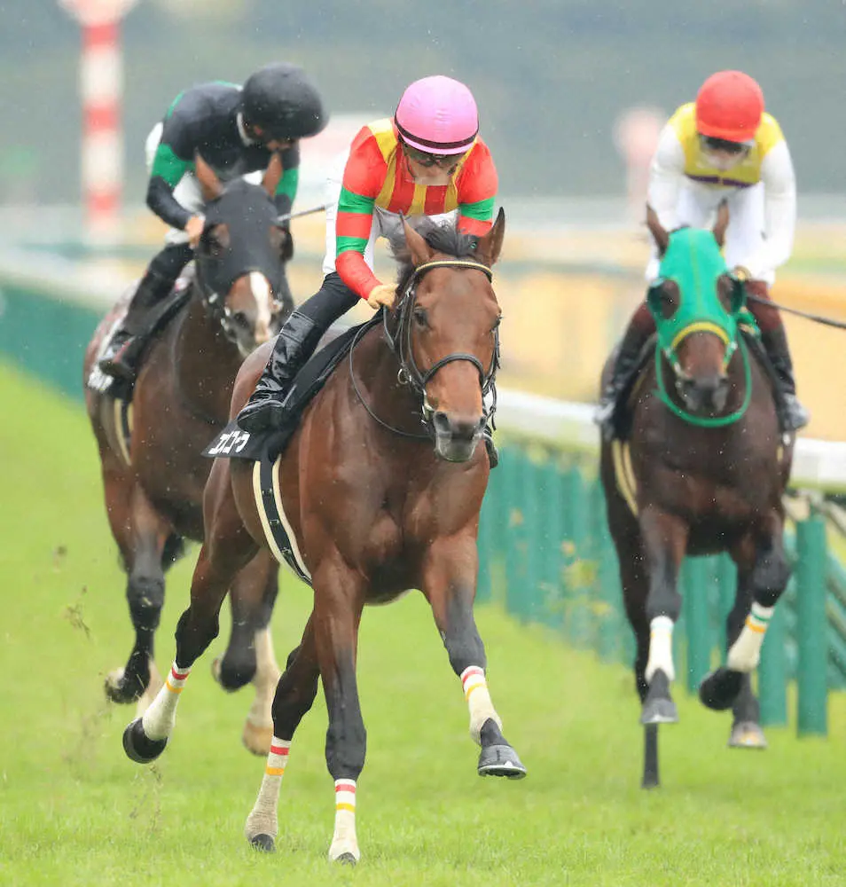 ＜東京9R国立特別＞レースを制した川田騎乗のエスコーラ＝手前（撮影・西川祐介）