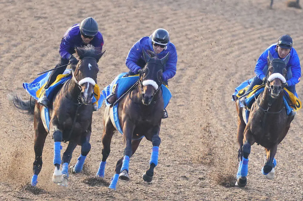 3頭併せて追い切るアンティシペイト（中央）（撮影・西川祐介）