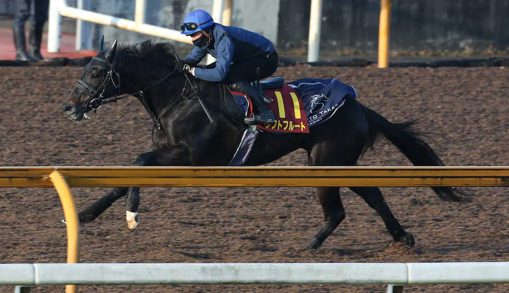 岩田望騎手を背にCWコースで追い切るソフトフルート（撮影・亀井　直樹）