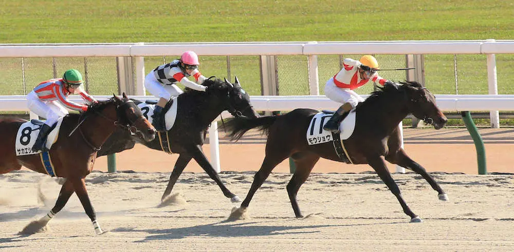＜東京6R　新馬戦＞新馬戦を制した（右から）和田竜騎乗のモウショウ、2着となった武士沢騎乗のオーロラアーク、3着となった石橋騎乗のサカエショウ（撮影・西川祐介）
