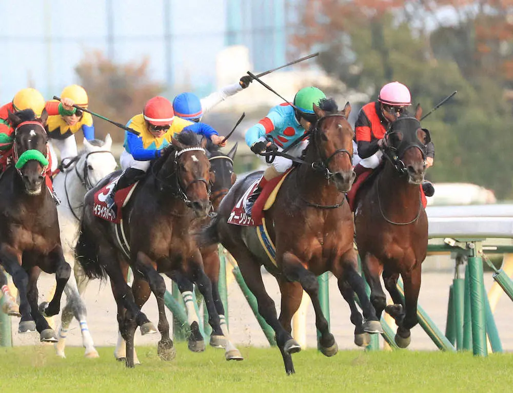 ＜東京11Rアルゼンチン共和国杯＞差し切って勝ったルメール騎乗のオーソリティ＝右から2頭目（撮影・西川祐介）
