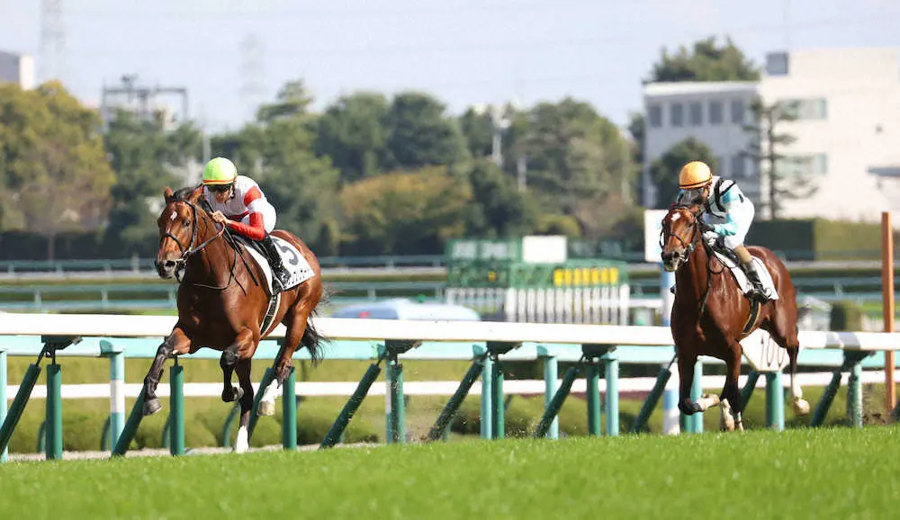 ＜阪神5R新馬戦＞直線で後続を突き放し快勝するダノンブリザード＝左（撮影・亀井　直樹）