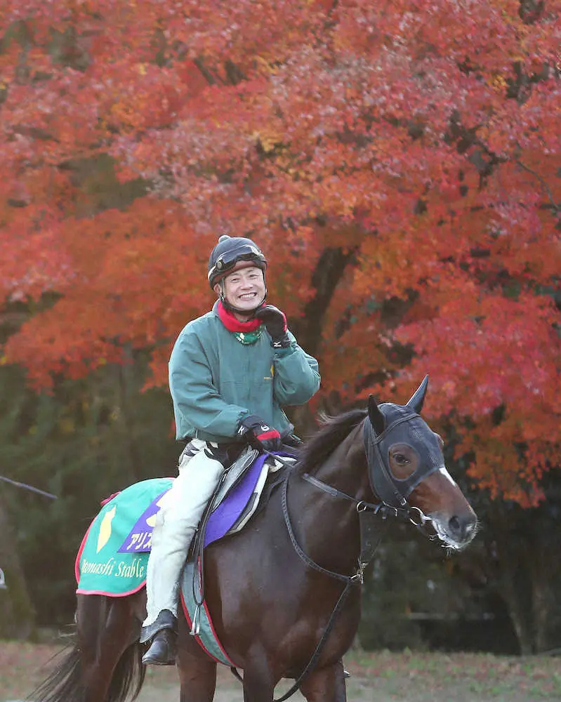 紅葉をバックに運動するアリストテレス