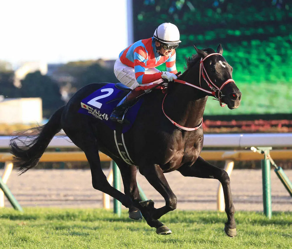 ＜東京12R・ジャパンカップ＞ジャパンカップを制した福永騎乗のコントレイル（撮影・西川祐介）