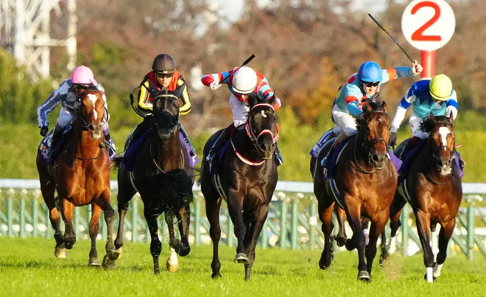 ＜ジャパンカップ＞レースを制したコントレイル（中央）、左から2頭目が3着のシャフリヤール（撮影・郡司　修）