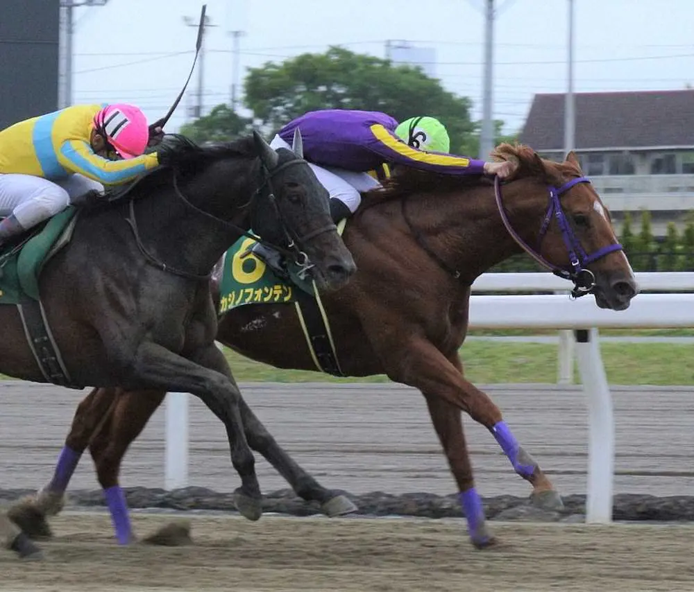 かしわ記念を快勝したカジノフォンテン（右）