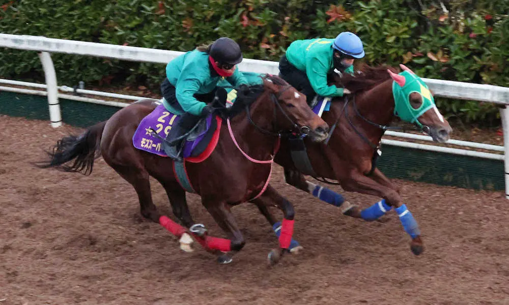 ＜チャンピオンズC＞松若を背に坂路にて併せ馬で追い切るサンライズノヴァ（右）。左はモズスーパーフレア（撮影・亀井　直樹）
