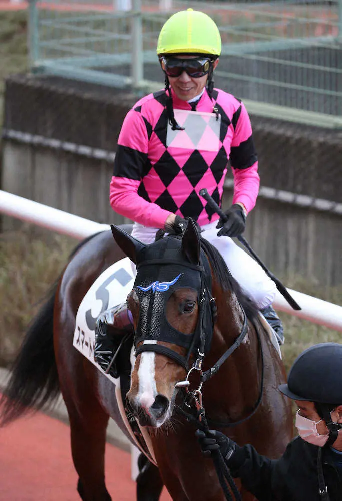 ＜阪神6R・2歳新馬戦＞勝利し検量室に戻ってくるスマートセプターと笑顔の武豊（撮影・亀井　直樹）