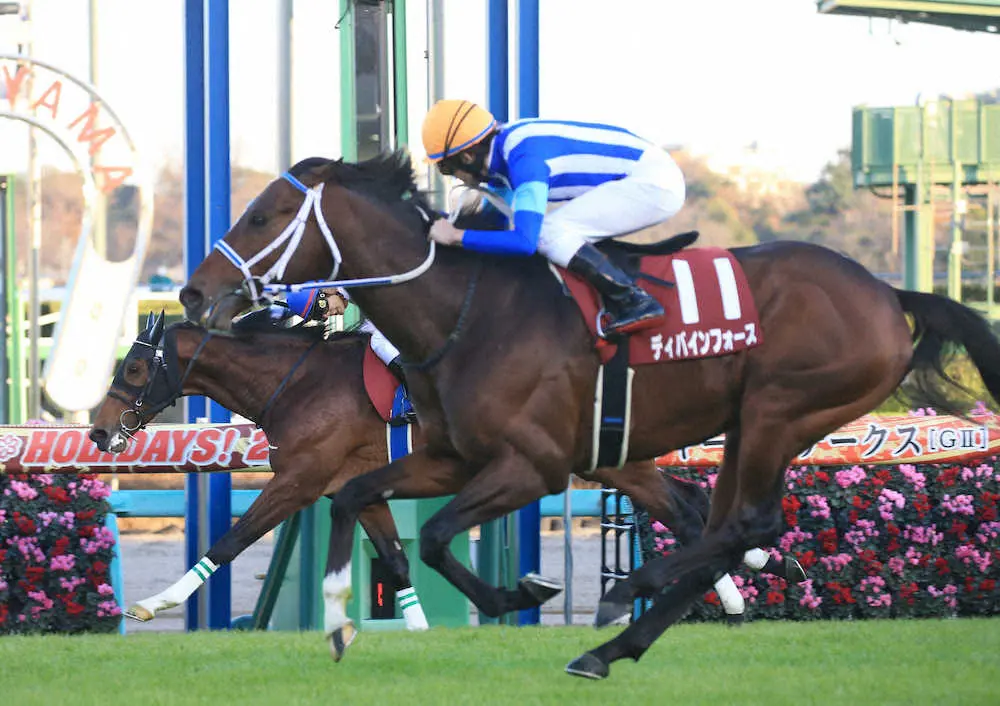 田辺騎乗のディバインフォース（右手前）が競り勝ちスポーツニッポン賞ステイヤーズSを制する（撮影・西川祐介）