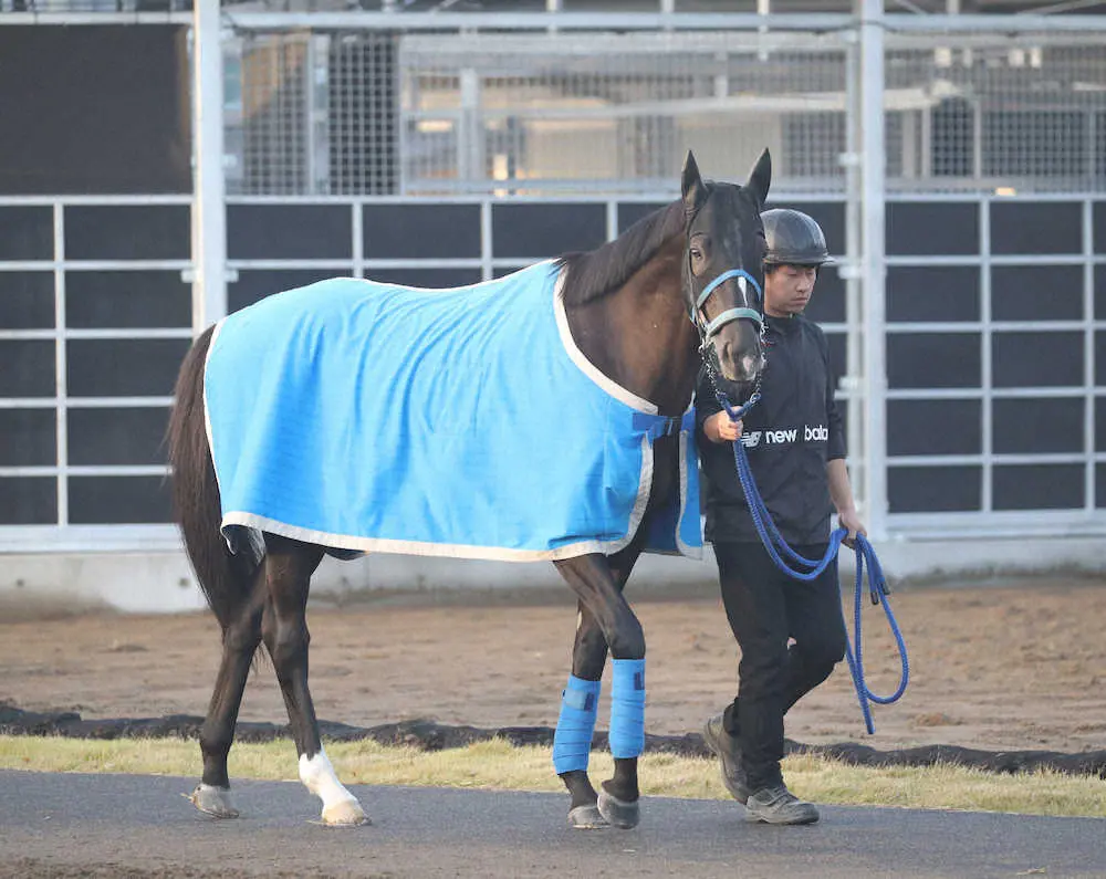 グローリーヴェイズ