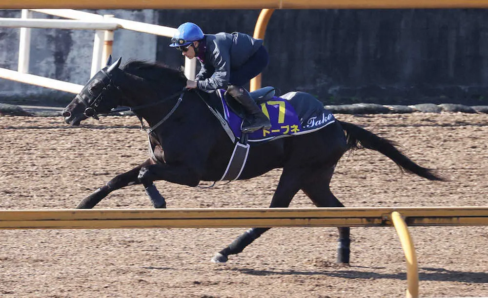 吉田隼騎手を背にCWコースで追い切るドーブネ（撮影・亀井　直樹）