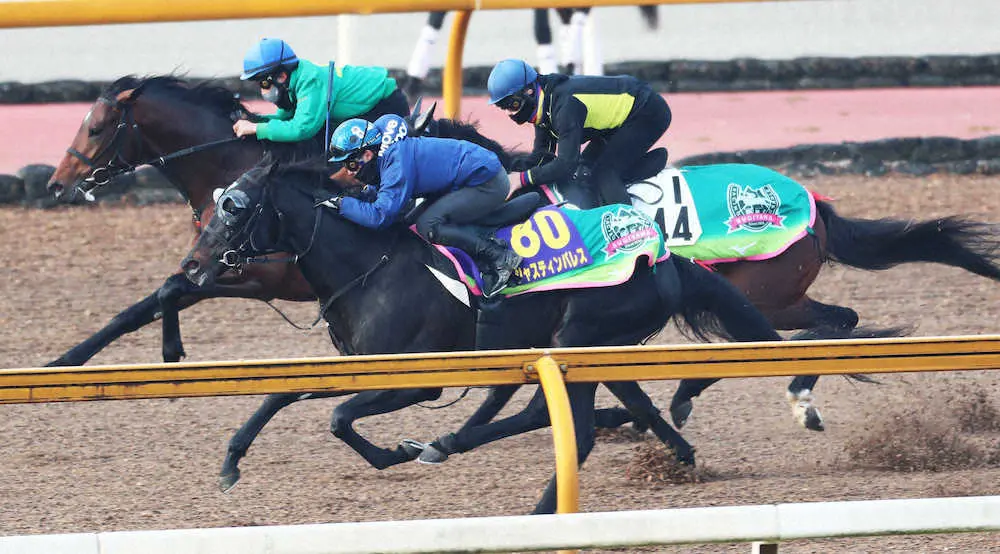 3頭追いを差し切るジャスティンパレス＝手前（撮影・井垣　忠夫）　